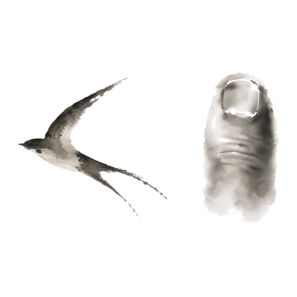 An ink-wash painting of a swallow in flight beside a single thumb, set side by side — the fly (飞) and the white (白) of 飞白 (flying white), a calligraphy stroke.